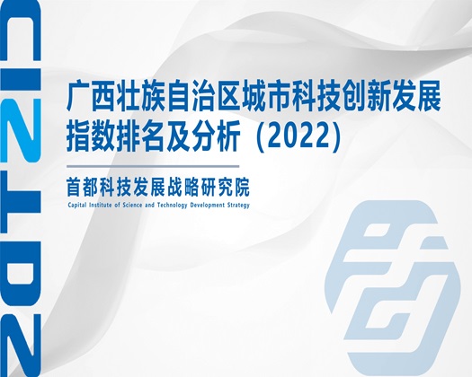 啊快来舔我的屌【成果发布】广西壮族自治区城市科技创新发展指数排名及分析（2022）